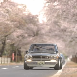 himetan