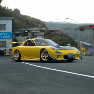 Lolax73