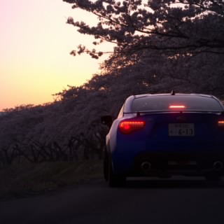 Sunshine_Apex