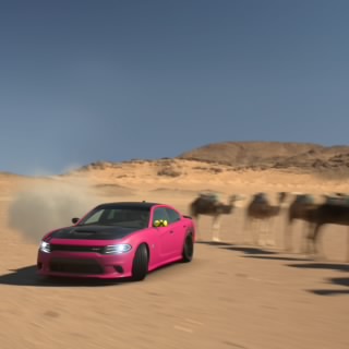 F  z  a  w  y 