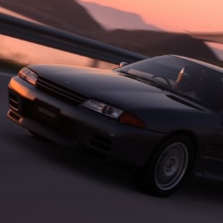 M.skyline