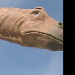Mucus