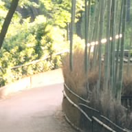 ぽち