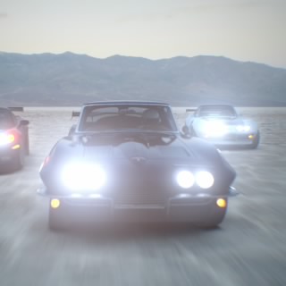 The Stig