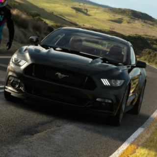 ExoticMonkey