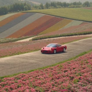 ミセス　ルイス
