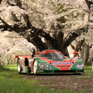 Solitaire SC