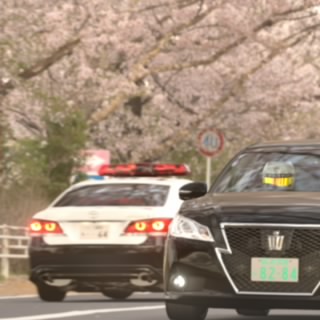 ルーレット族