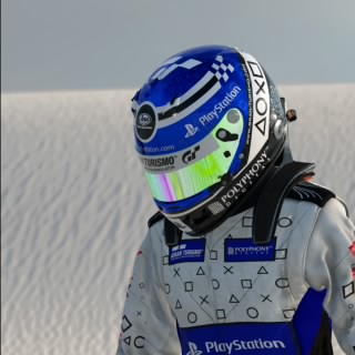 R. Swinnen