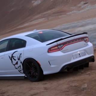 R3B