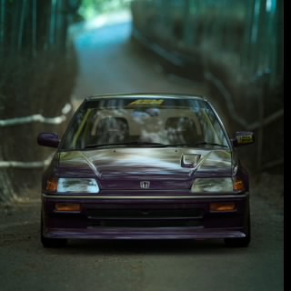 Aloy--11
