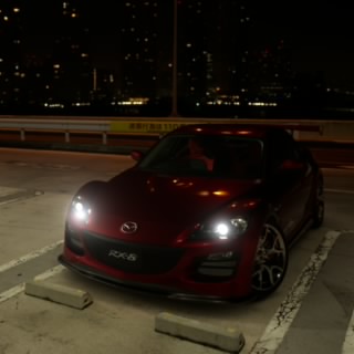 SE3P