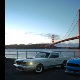 65_Gt