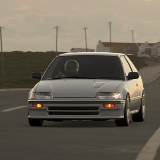 Disgaya_PT