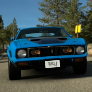Raven-Shelby