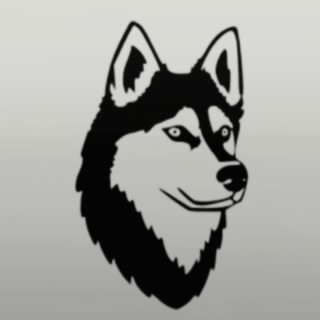 My Husky Is Fast