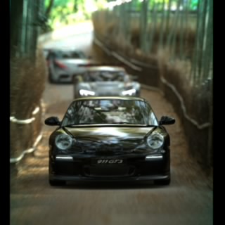 Speedyhamster_2