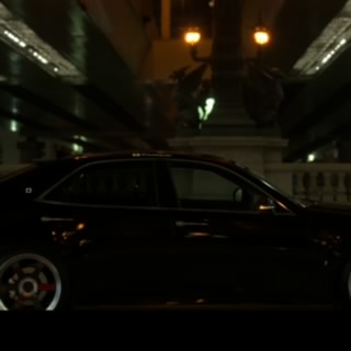 M.kazuyuki