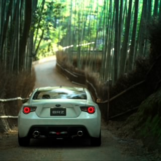 Komemaru7