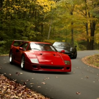 Supra 888
