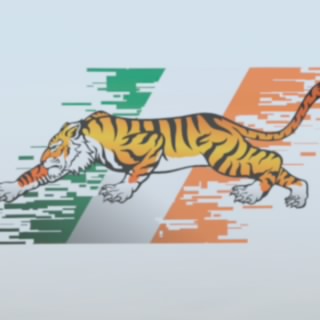 Irish_Tiger_11