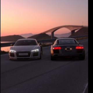Dutch Stig