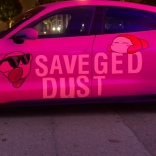 Savaged_Dust
