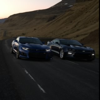 ZL1-19