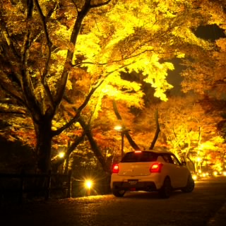 yoshigon