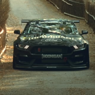 Bagged_