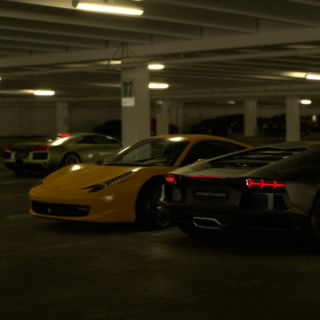 The Stig