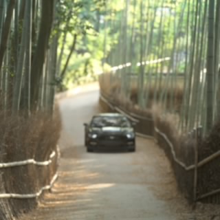 Rayce_Car24