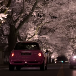 Emmiii