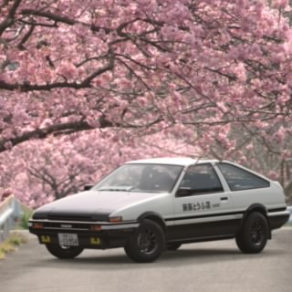 TEAMFINALSTRIKE