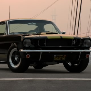 JV2 Shelby