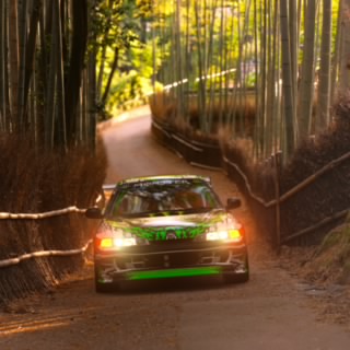 Nando Lorris