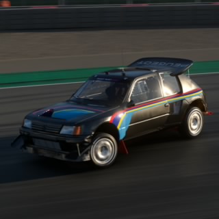 Piktor205