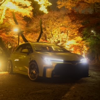 Scion