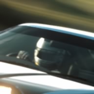 Leafy wile-9