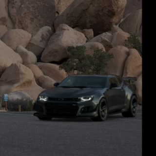 Solid-snake