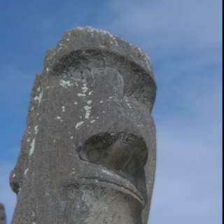 Adam