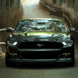 Fordman