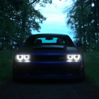 Petlass07