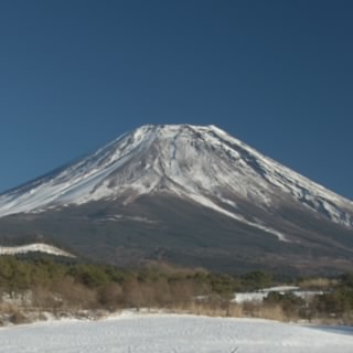 SHOGO