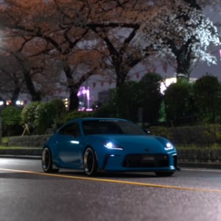 L. Razer