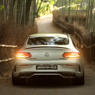 The stig