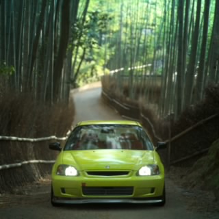 Lutherpau96