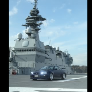 ハヤブサ。