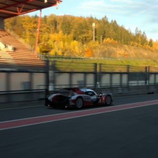 MSR-D.Molina