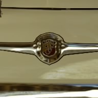 BrainTerrain